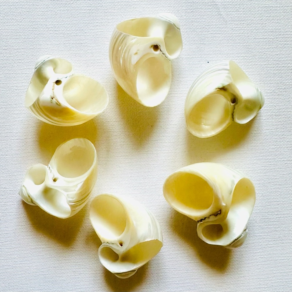 Elegant Shell Napkin Rings (6 shells) - Picture 5 of 7